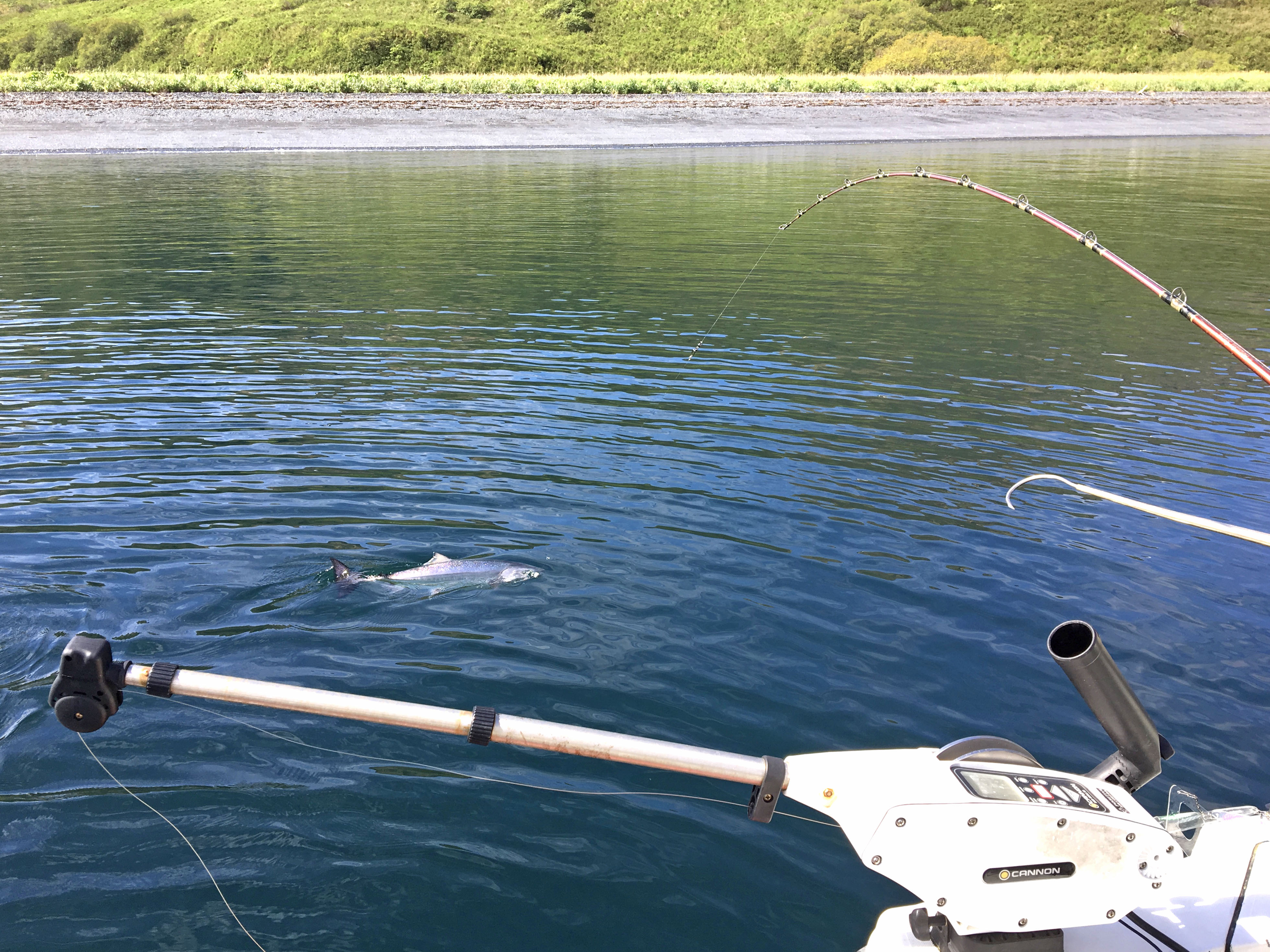 Kodiak King Salmon Fishing Kodiak Combos